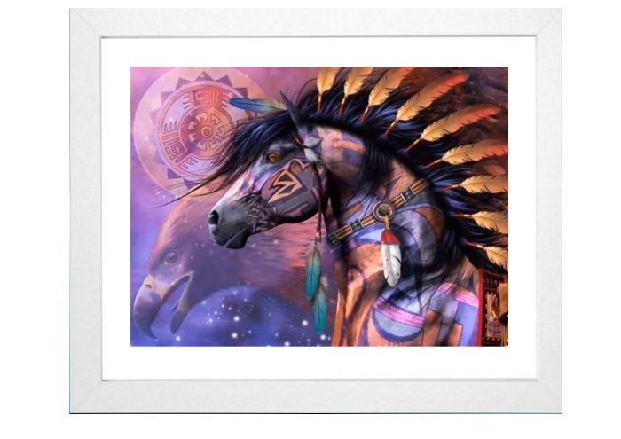North American IndianFramed Print